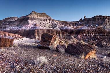 mountains behind pieces of petrified wood 