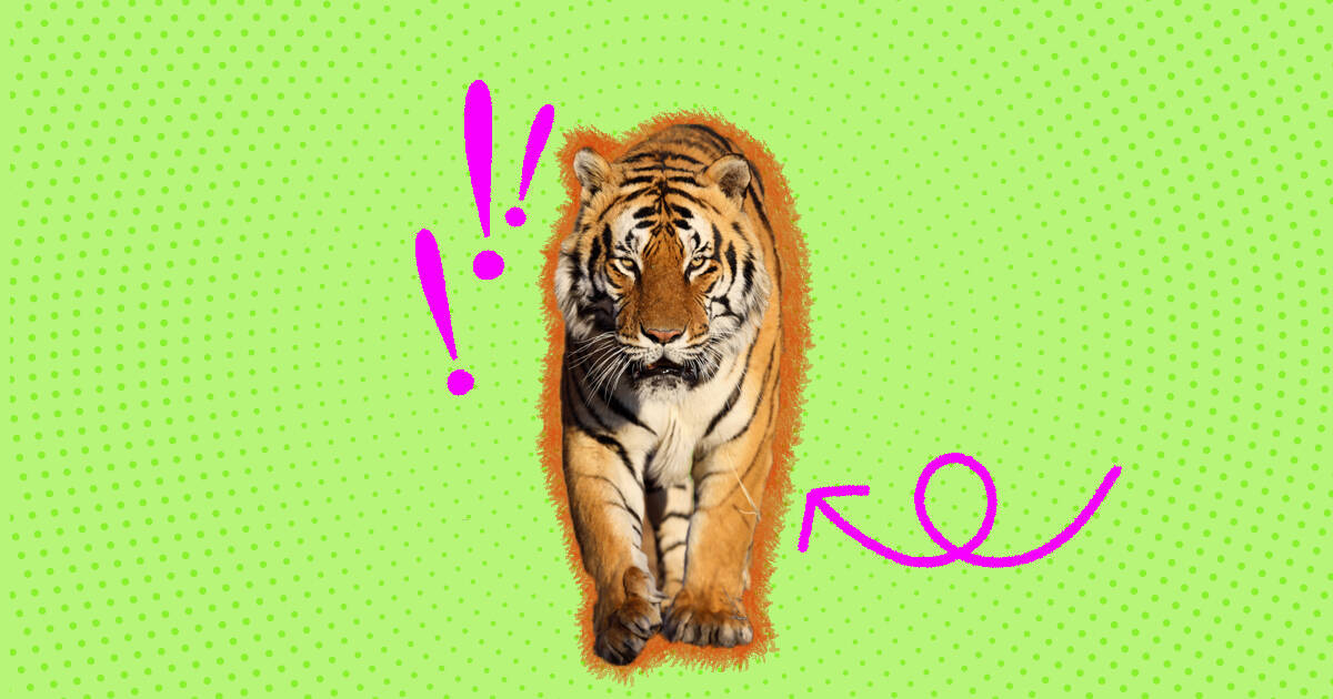 Interesting Facts about Bengal Tiger [ Fun Facts Animal ]