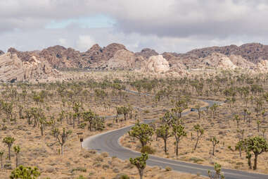 crop;webp=auto;jpeg quality=60 joshua tree national park Palm Springs Real Estate