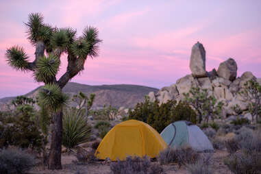 crop;webp=auto;jpeg quality=60 joshua tree national park Palm Springs Real Estate