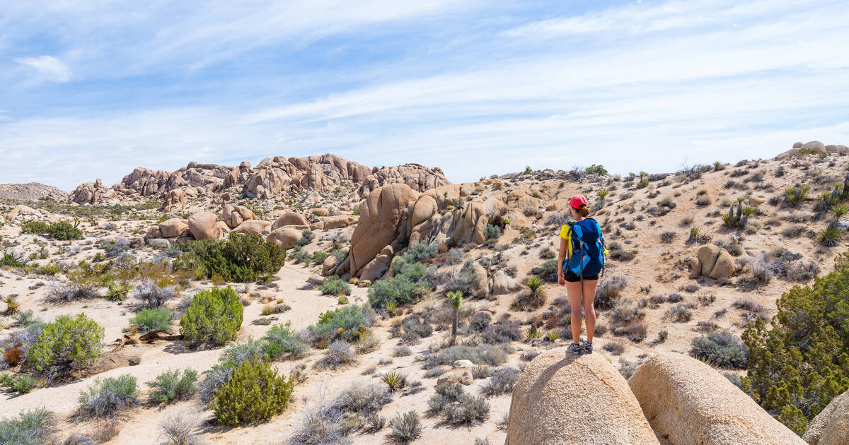 Backpacking Joshua Tree National Park