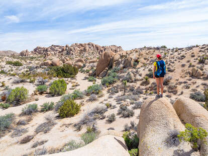 Joshua Tree National Park