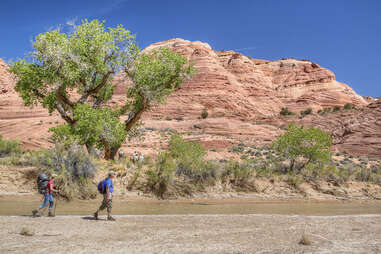 vermilion cliffs national monument