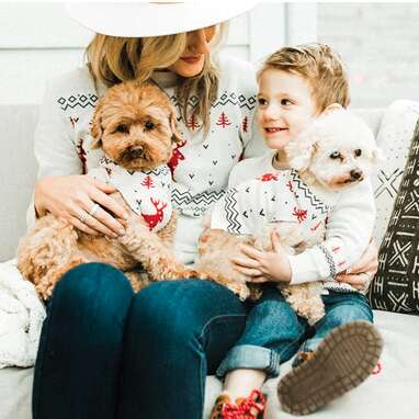 Dog Threads Let It Snow Sweater For Dog And Family