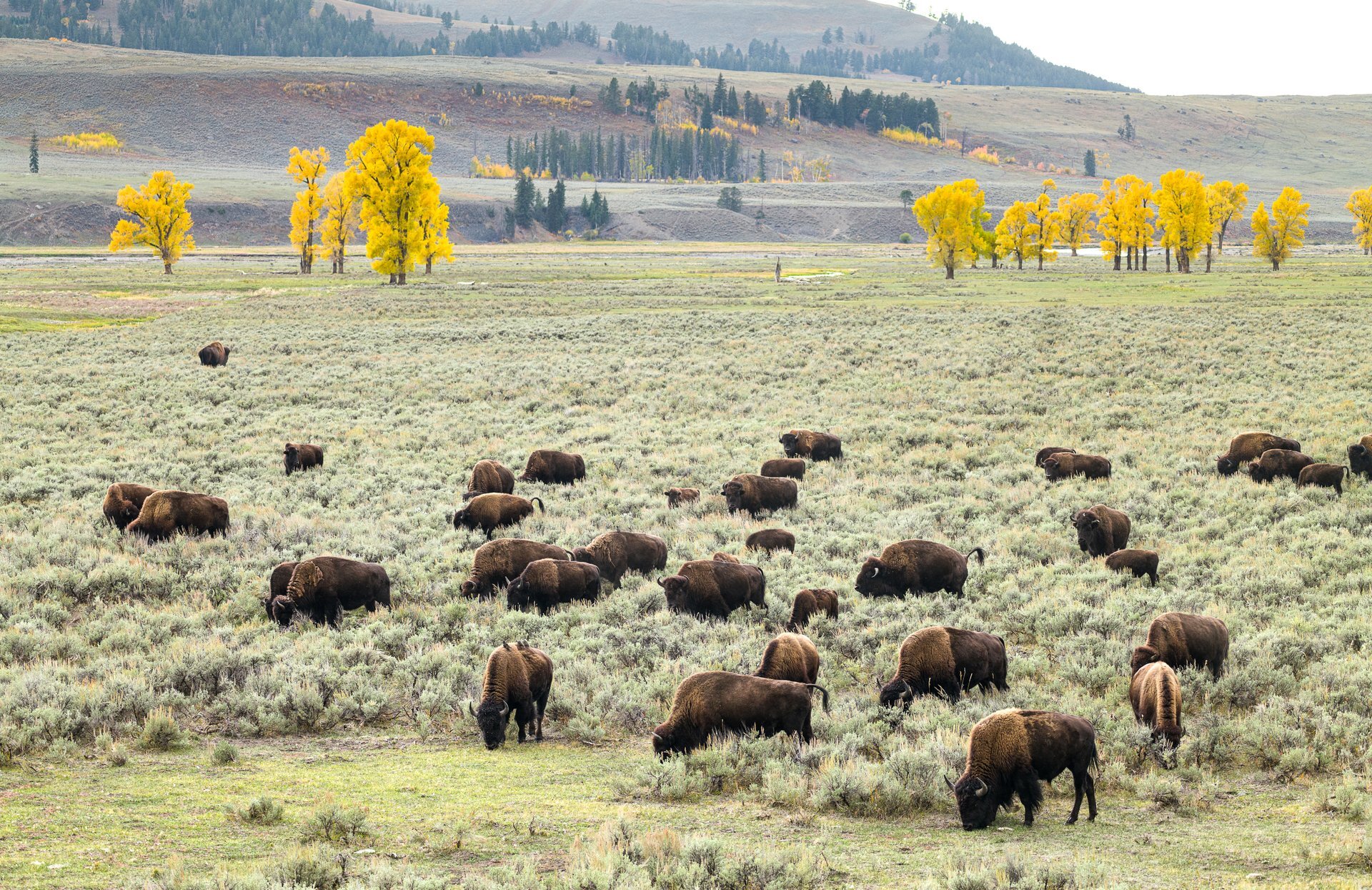Big Sky Is Montana’s Ultimate Year-Round Mountain Escape