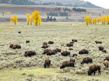 big sky montana