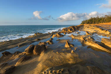 beach in coos bay, oregon