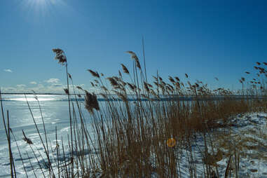 Mastic Beach, New York