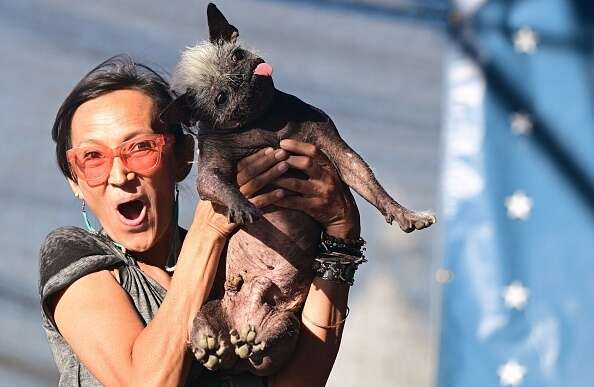 Woman holds up hairless dog.