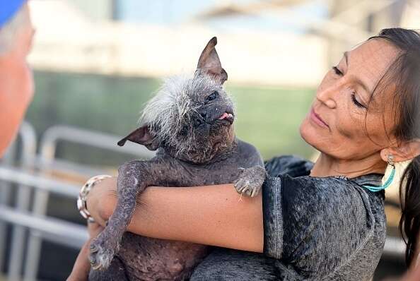 Woman holds hairless dog.
