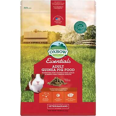 Adult guinea pig food: Oxbow Essentials Adult Guinea Pig Food