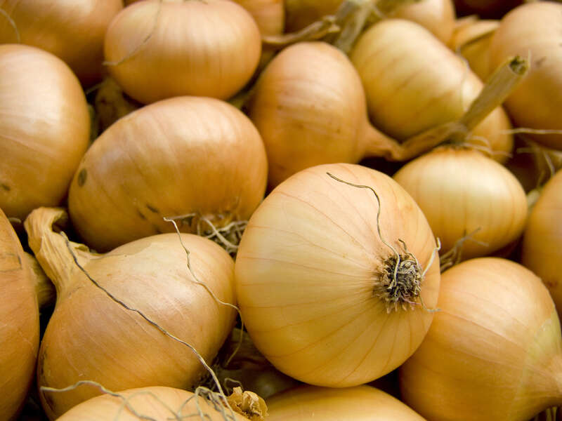 Wegmans Recalls Vidalia Onions Over Listeria Concerns Thrillist