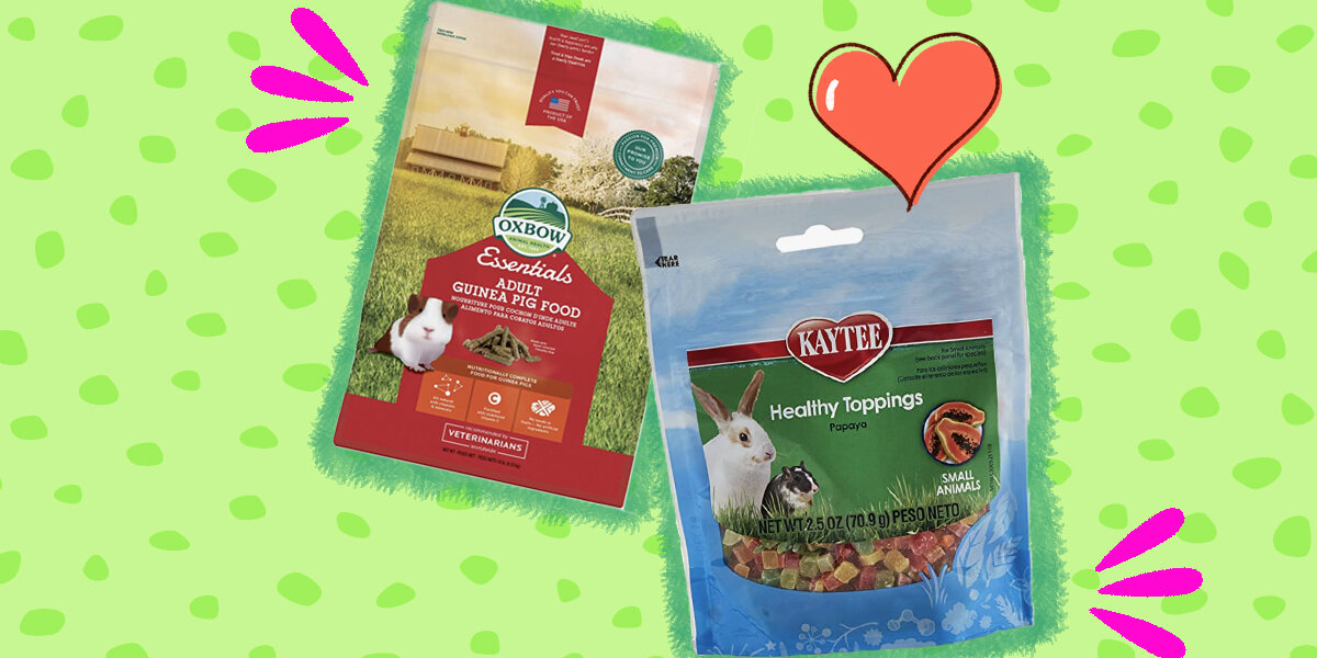 The best food hot sale for guinea pigs