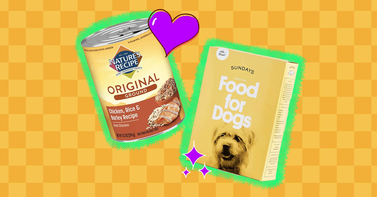 what is the healthiest natural dog food