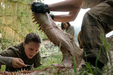 natalie portman in annihilation