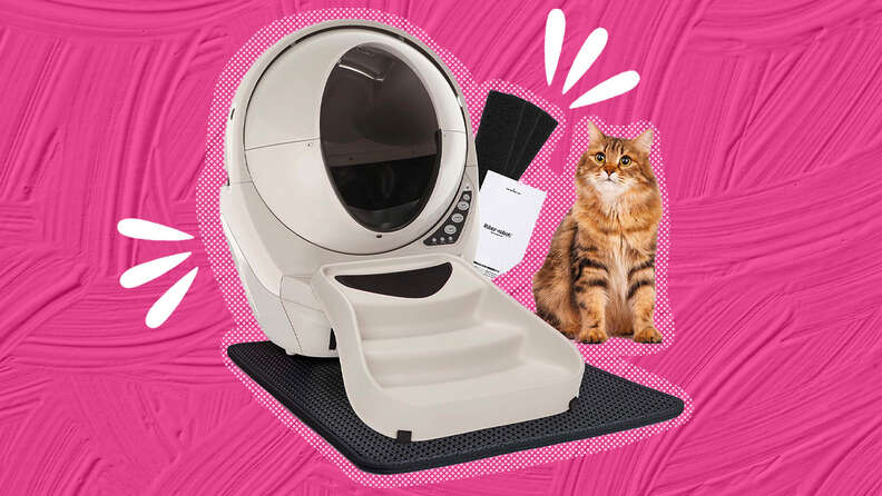 Easy clean hotsell kitty litter box