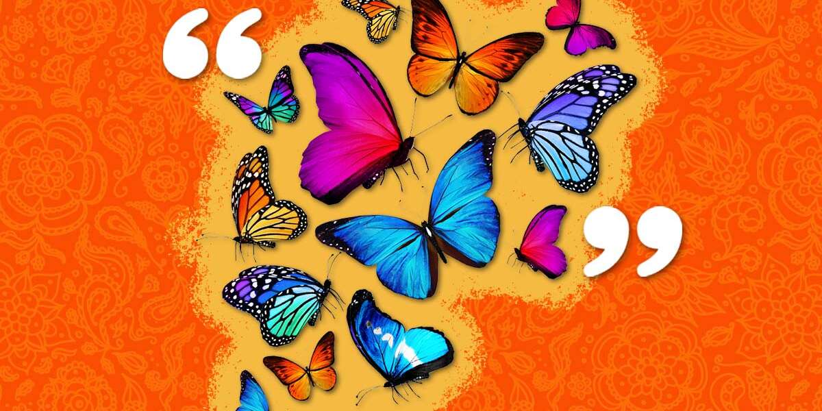 30+ Butterfly Quotes That Will Inspire You To Keep Flying - DodoWell - The  Dodo