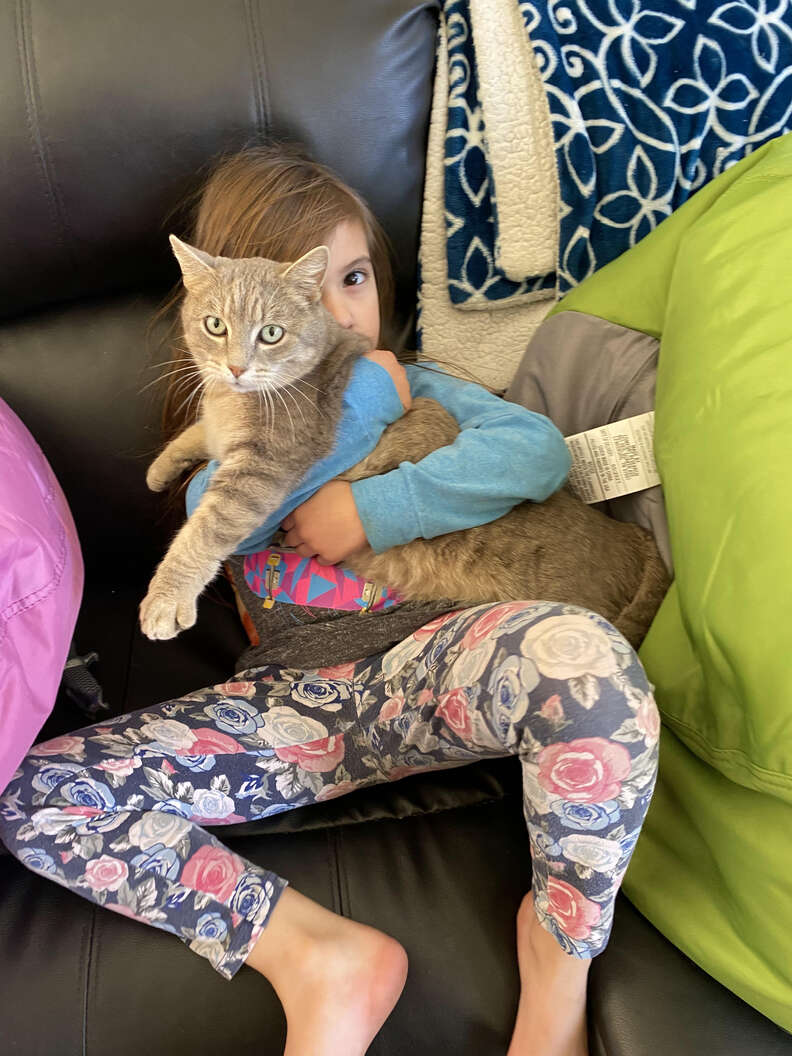 A child holds a grey cat.