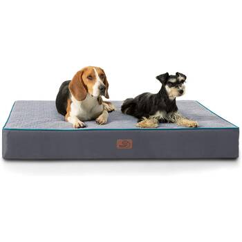 Best cooling orthopedic dog 2024 bed