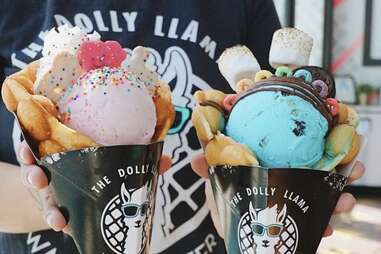 The Dolly Llama