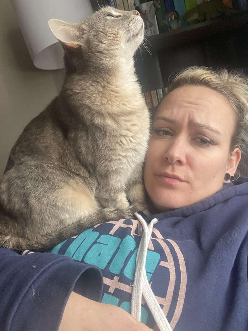 A grey cat stands on mom.