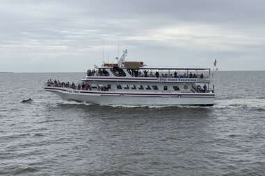 Ship Island Excursions