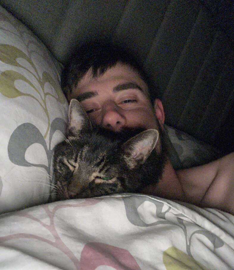 A cat lays in bed with his dad.