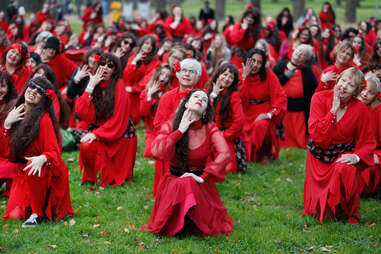 kate bush fans on wuthering heights day