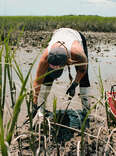 Here’s Where to Get the Freshest Foraged Seafood in North Carolina