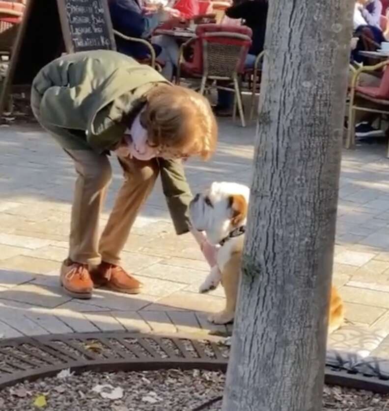 mulheres apertando as mãos de um bulldog inglês do lado de fora