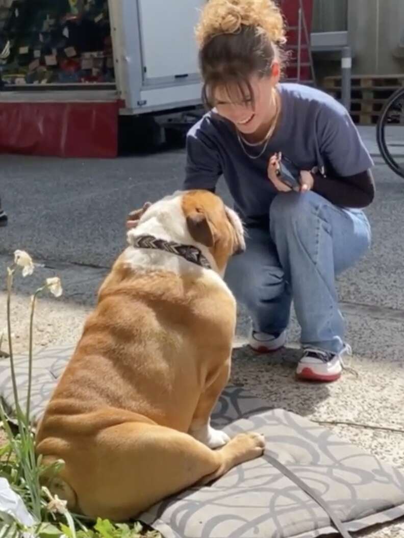 mulheres acariciando um bulldog inglês do lado de fora