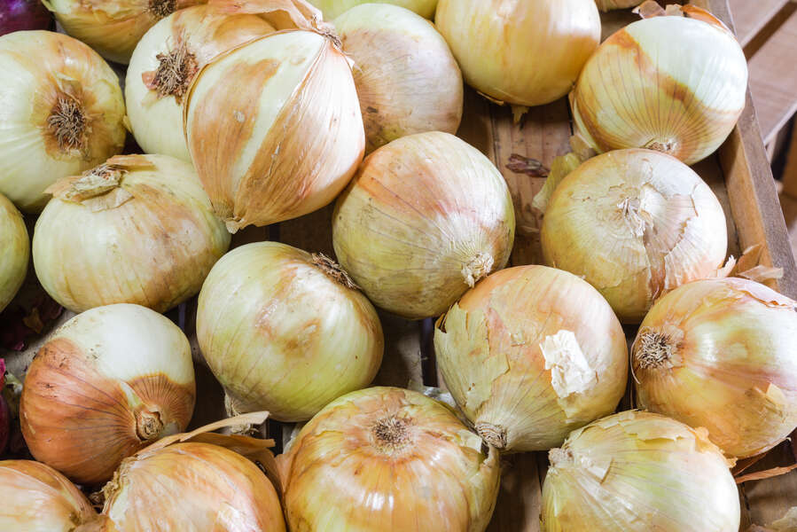 Onions Recalled Due to Listeria Contamination Thrillist