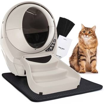 Easy clean top kitty litter box