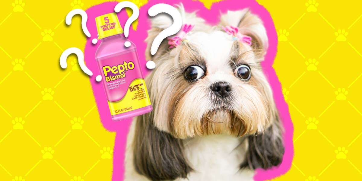 how much pepto for my dog