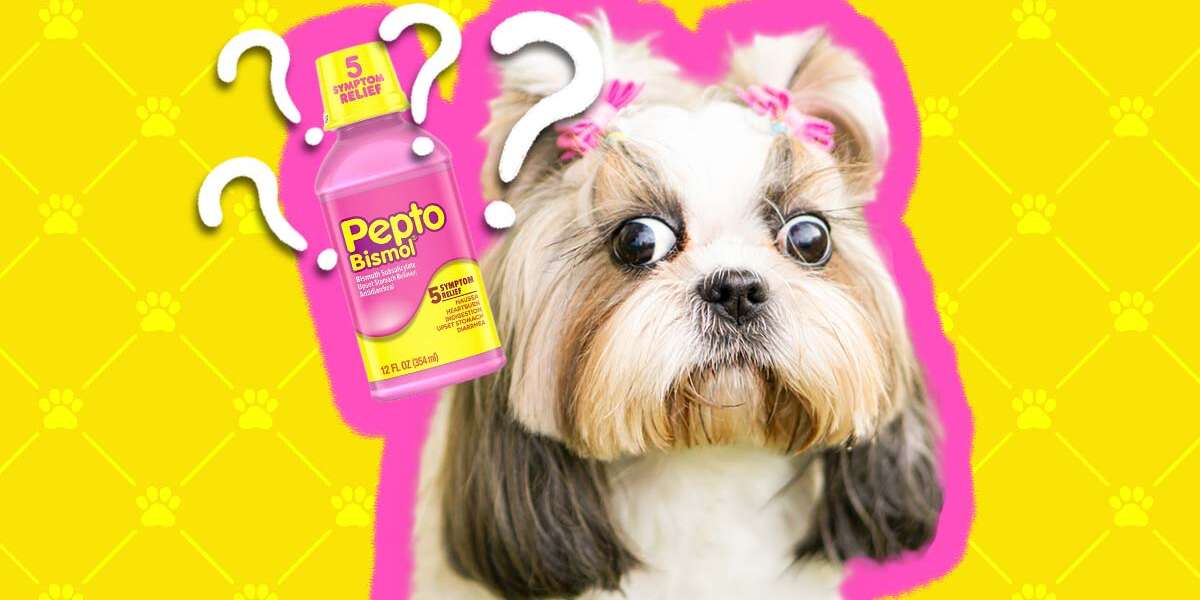 can dogs take pepto bismol pills