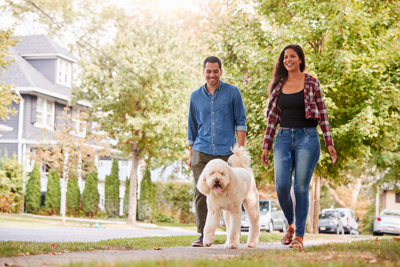Dog-Friendly Neighborhoods May Be Safer Places To Live