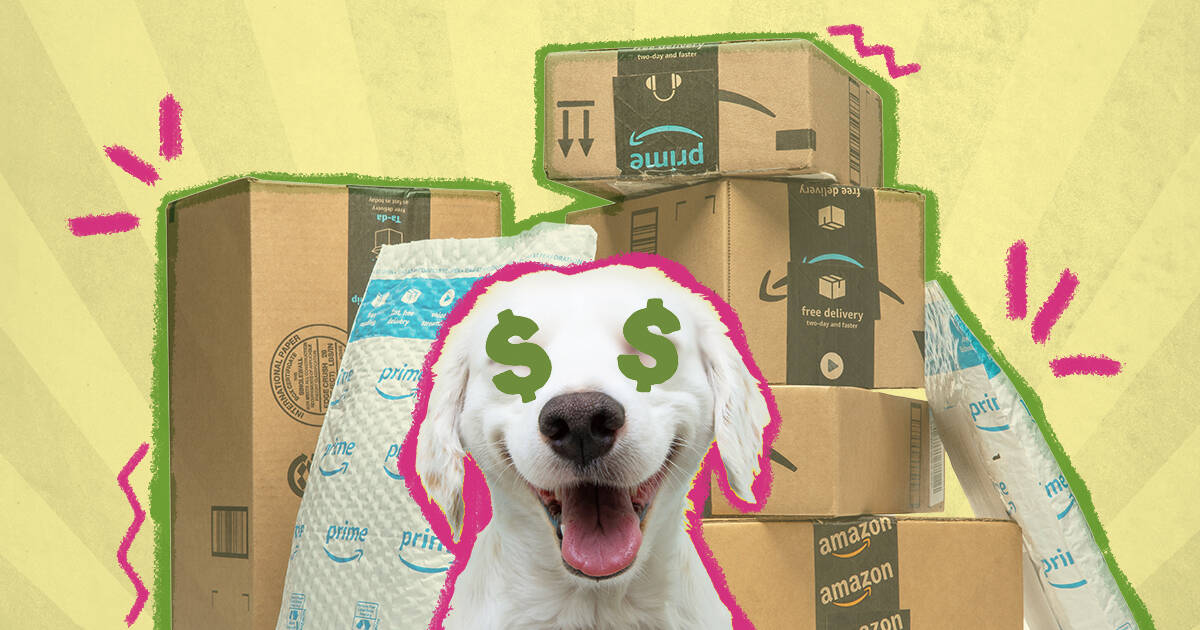 Amazon prime outlet dog