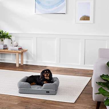 Amazon Basics Lounger Sofa Couch Style Pet Bed