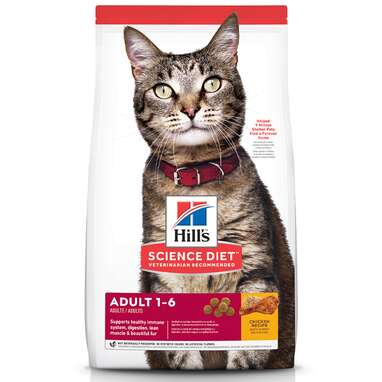 Best Cat Food Deals For Amazon Prime Day 2022 DodoWell The Dodo