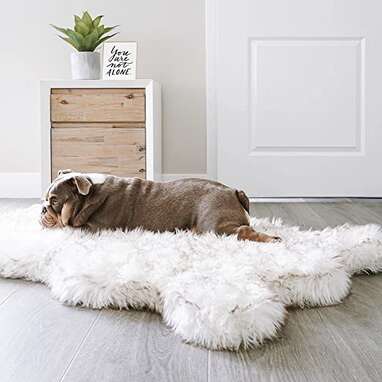 Puprug Faux Fur Memory Foam Orthopedic Dog Bed