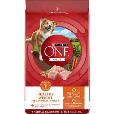 Low Fat Dog Food The 5 Best Options To Help With Weight And Other