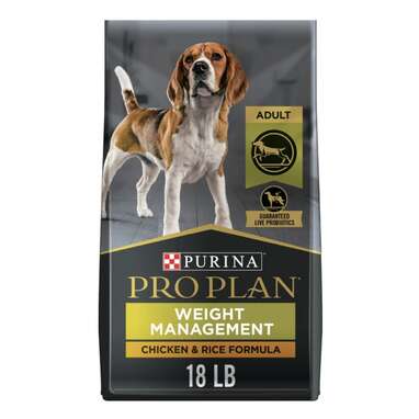 Dog food with clearance less than 10 fat