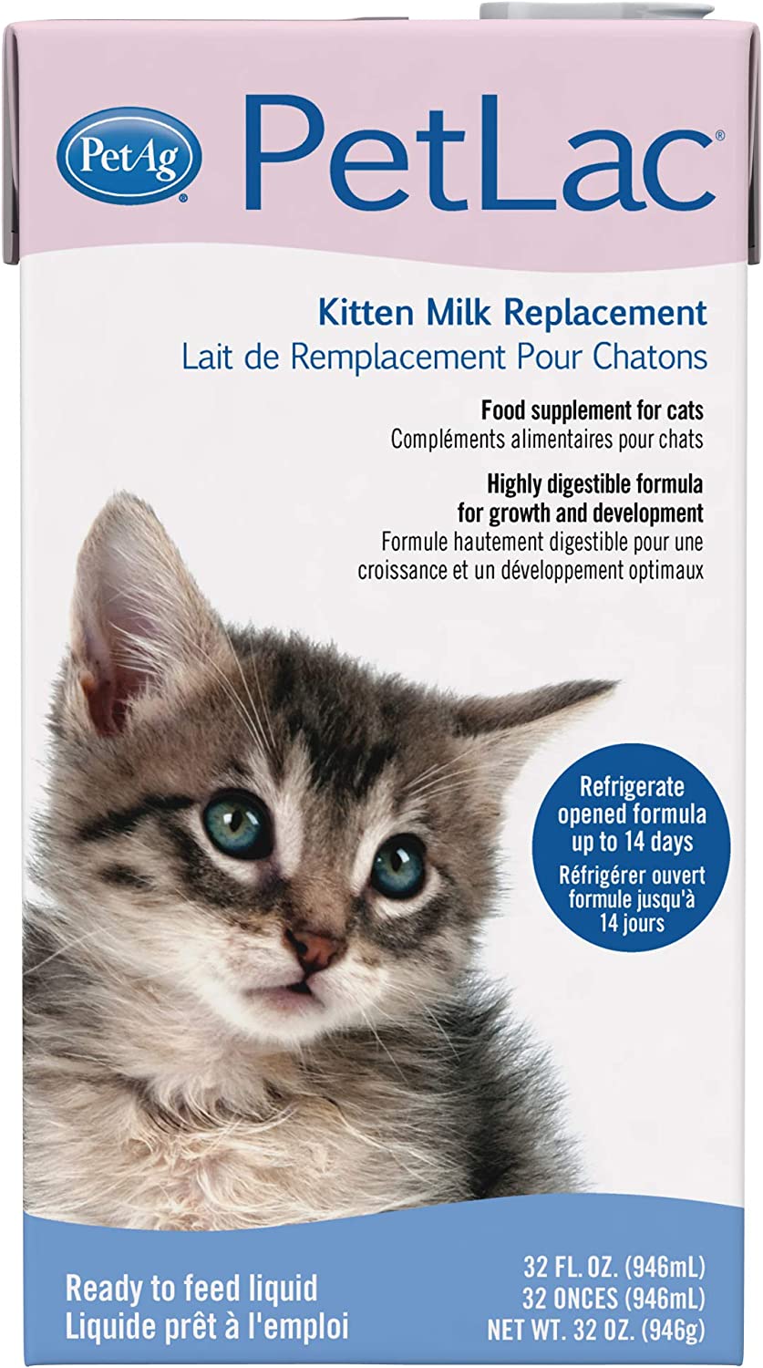 Best kitten hotsell milk replacer