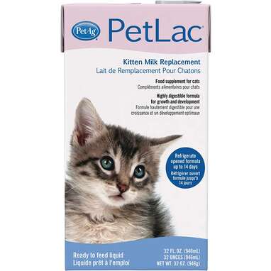 Best liquid kitten formula: PetAg PetLac Liquid