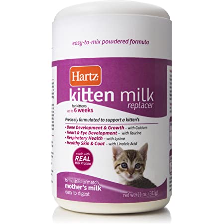 Kitten Formula Everything You Need To Know Before Buying Milk