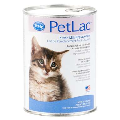 Best kitten formula for sensitive stomachs: PetAg PetLac