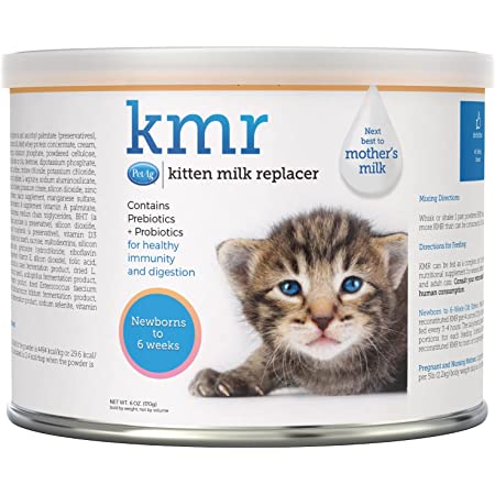 Kitten milk shop for sick cat