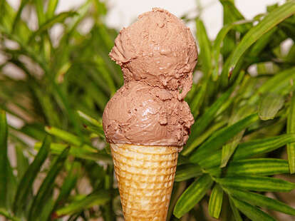 Vegan Caribbean Chocolate ice cream at Island Pops