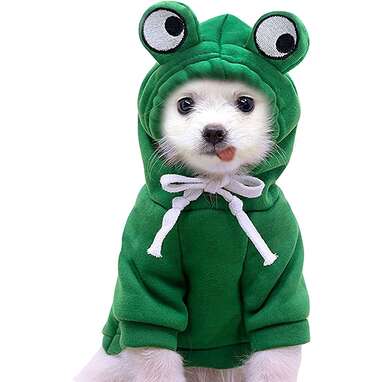 Frog Hoodie for Small Dog Cat