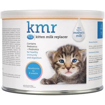 Can newborn kittens store drink baby formula